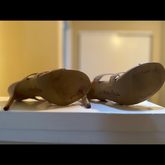 Charles David - Picture 2 of 3